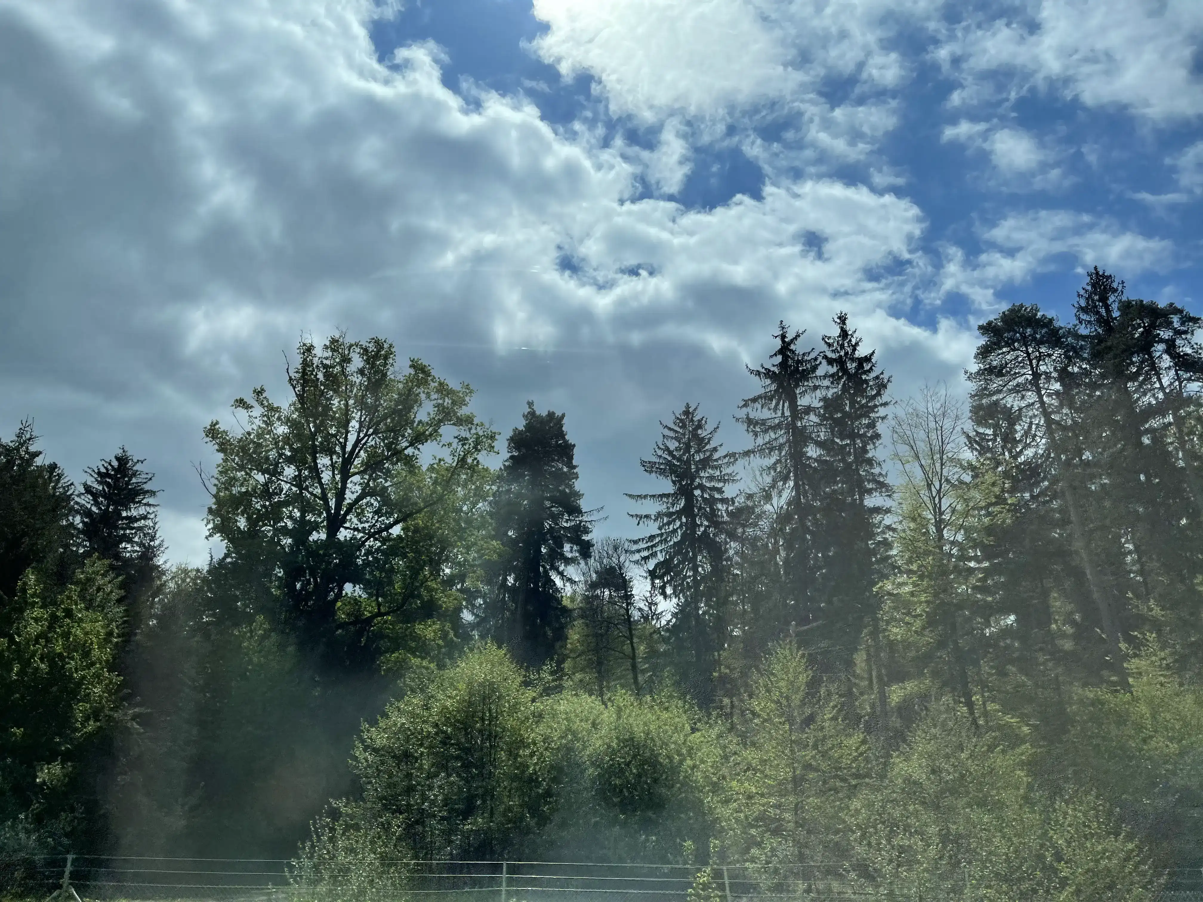 Les forêts de Slovénie