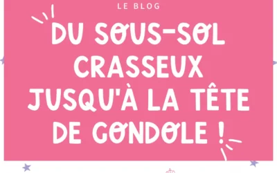 La place de la romance en librairies
